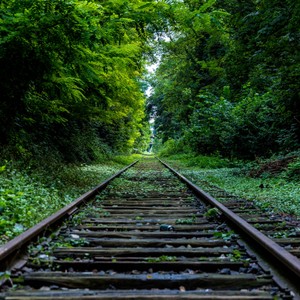 nature-forest-industry-rails.jpg